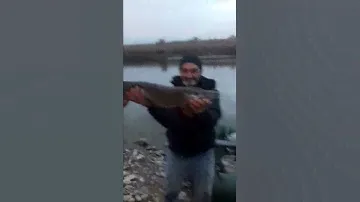 Сириус(20)